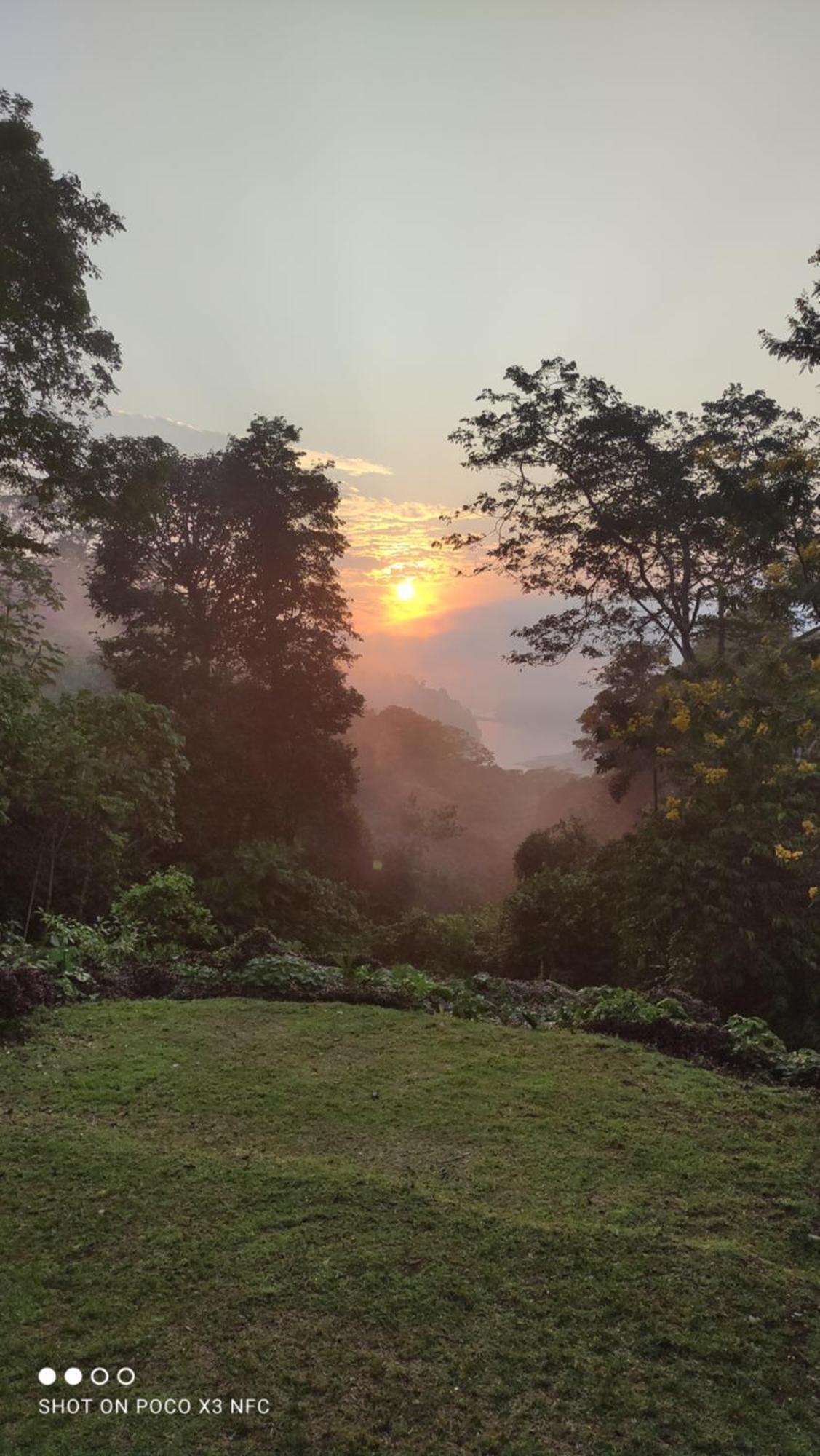 Gaia Amazon EcoLodge Ahuano Kültér fotó