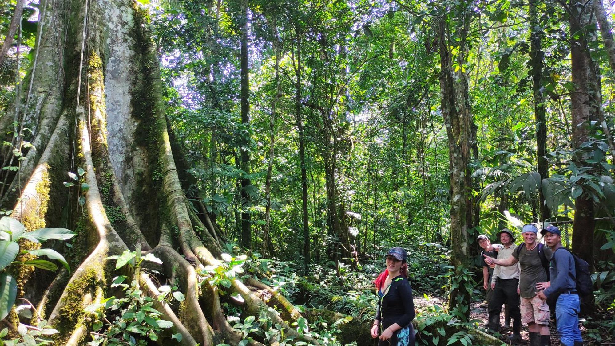 Gaia Amazon EcoLodge Ahuano Kültér fotó