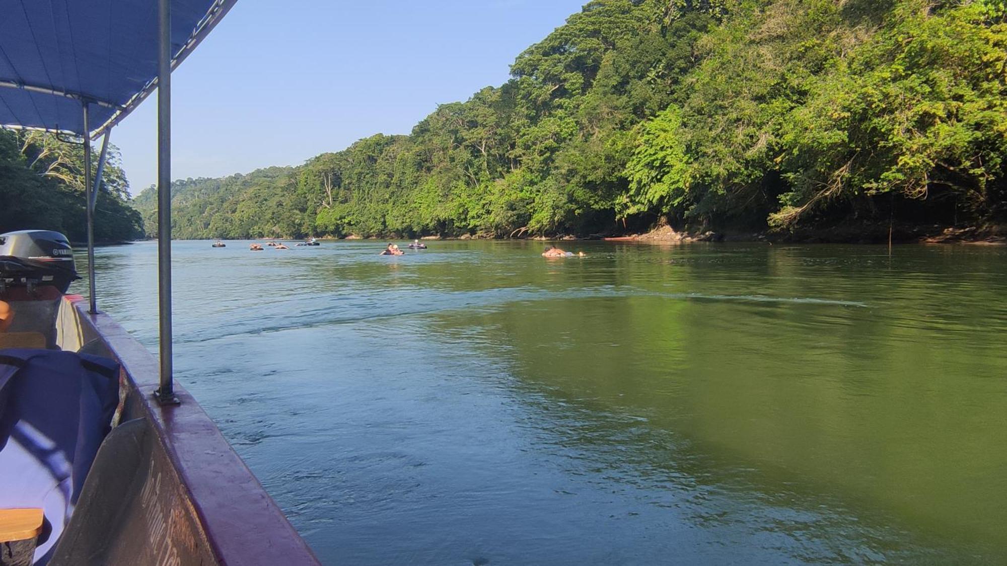 Gaia Amazon EcoLodge Ahuano Kültér fotó