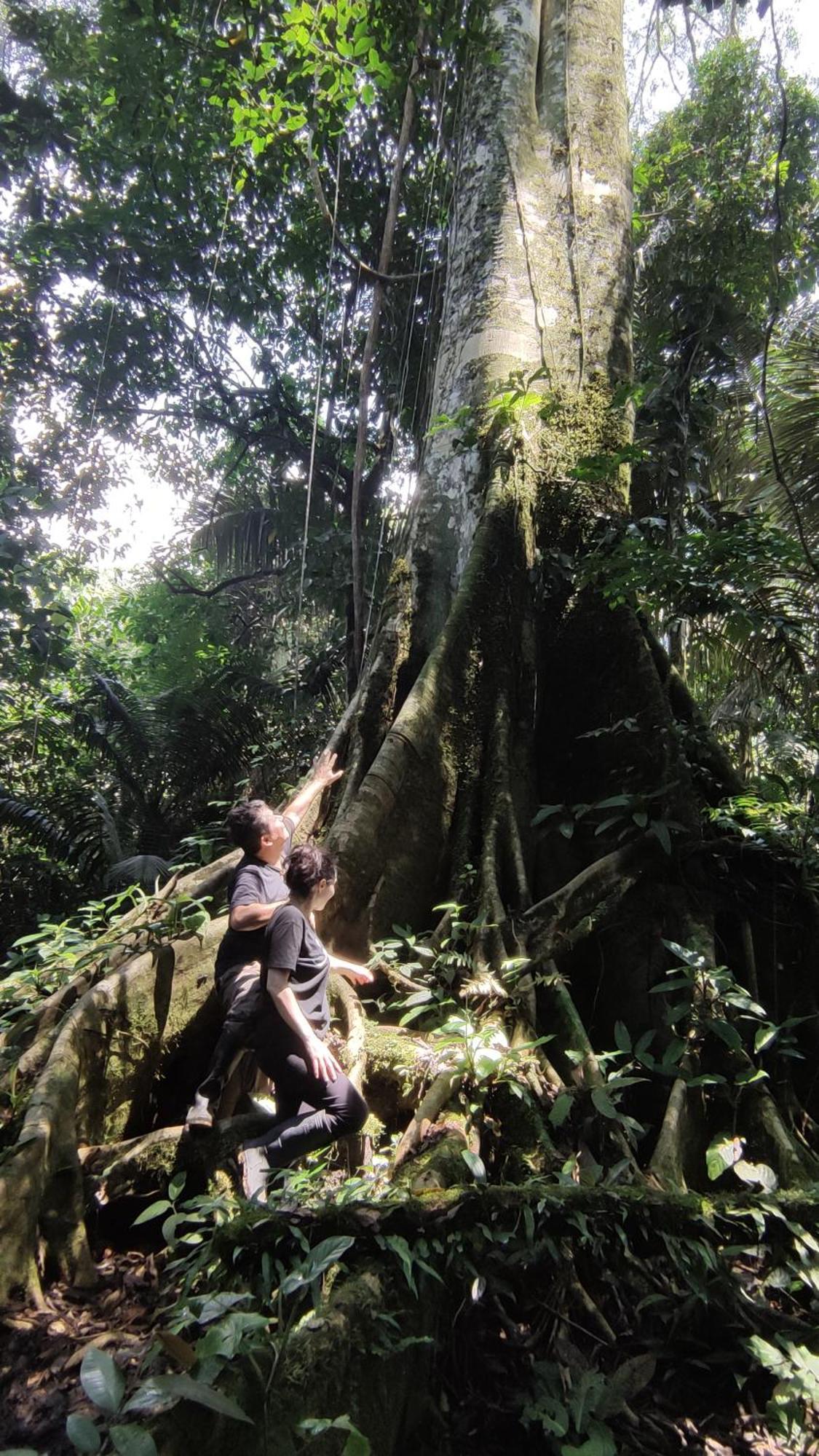 Gaia Amazon EcoLodge Ahuano Kültér fotó