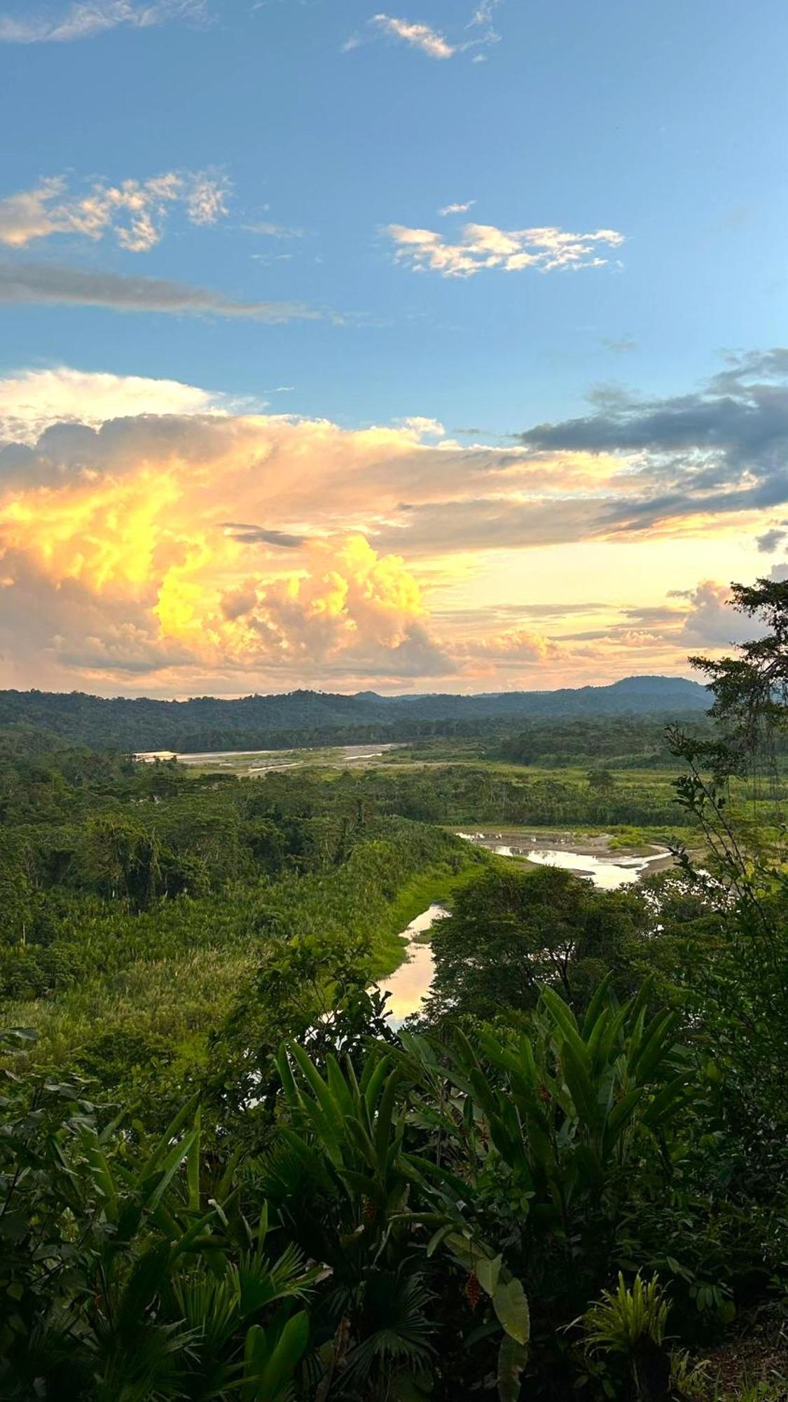 Gaia Amazon EcoLodge Ahuano Kültér fotó