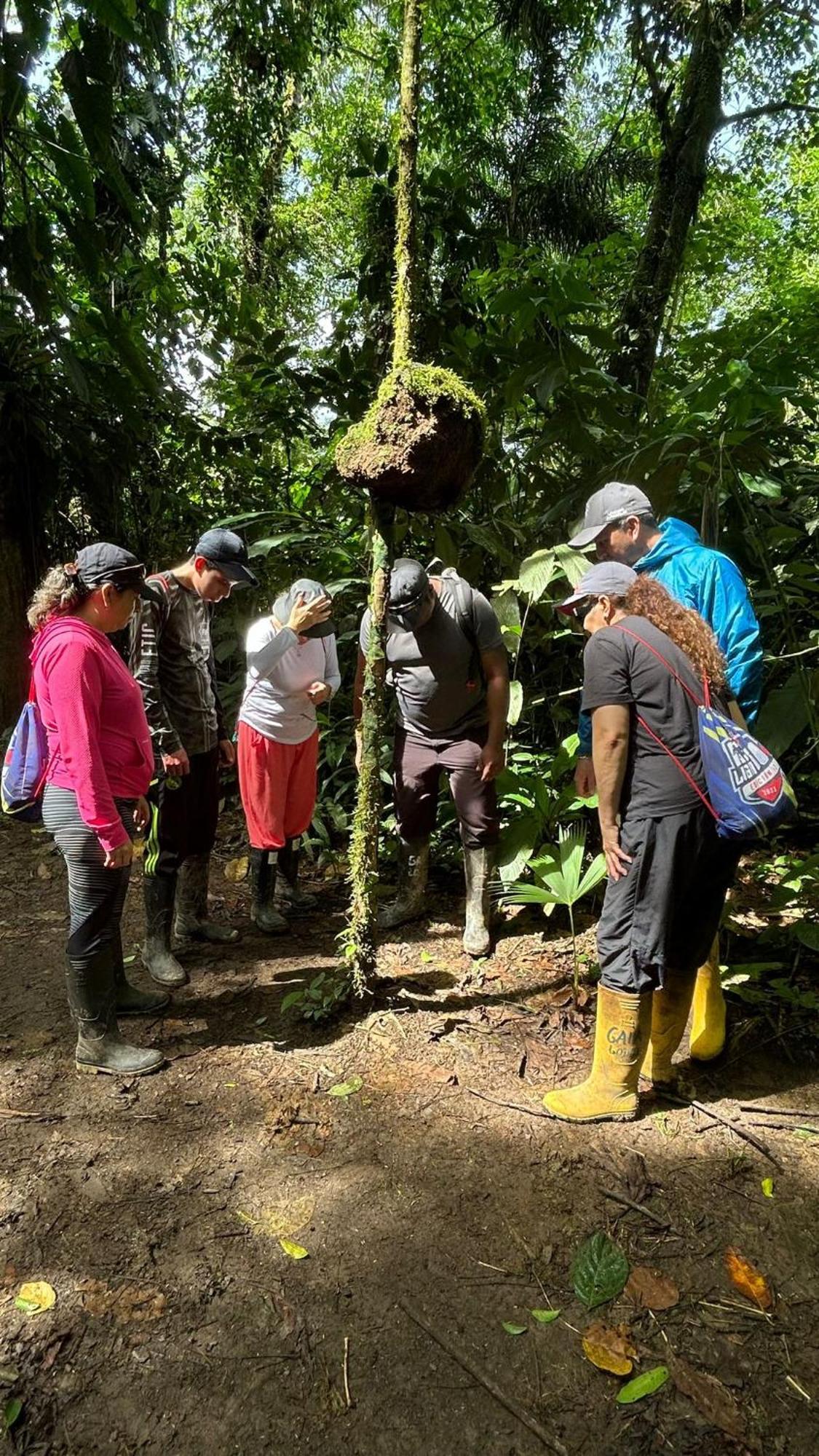 Gaia Amazon EcoLodge Ahuano Kültér fotó