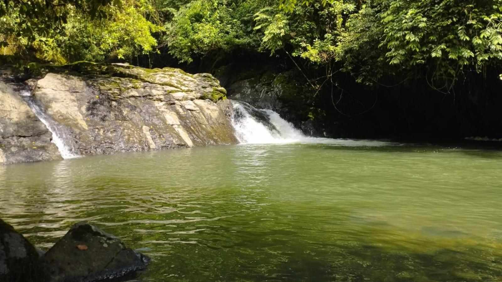 Gaia Amazon EcoLodge Ahuano Kültér fotó