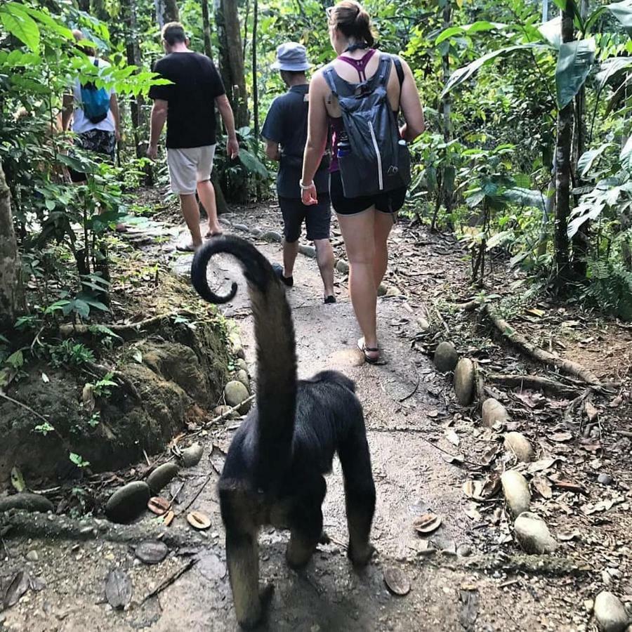 Gaia Amazon EcoLodge Ahuano Kültér fotó